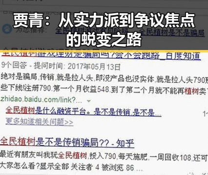 贾青：从实力派到争议焦点的蜕变之路