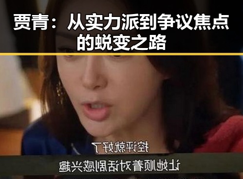 贾青：从实力派到争议焦点的蜕变之路