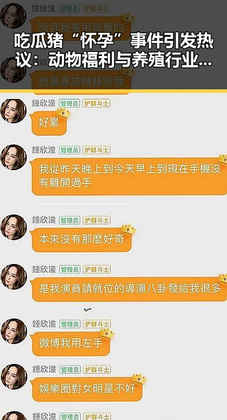 吃瓜猪“怀孕”事件引发热议：动物福利与养殖行业的双重考问