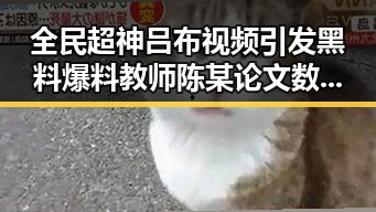 全民超神吕布视频引发黑料爆料 教师陈某论文数据存疑事件再度升级