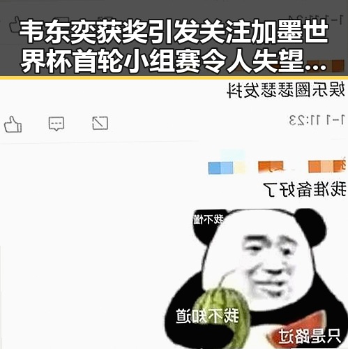韦东奕获奖引发关注 加墨世界杯首轮小组赛令人失望的表现对比