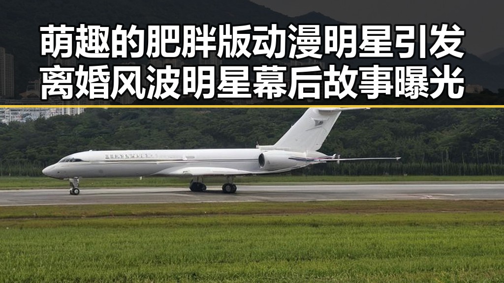 萌趣的肥胖版动漫明星引发离婚风波明星幕后故事曝光